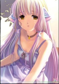 BUY NEW nijiiro zakura - 181509 Premium Anime Print Poster